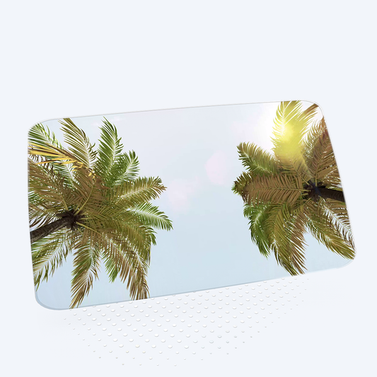 MIAMI PALM DRIVE SCREENSAVER COVER | VIVRE-MOTION