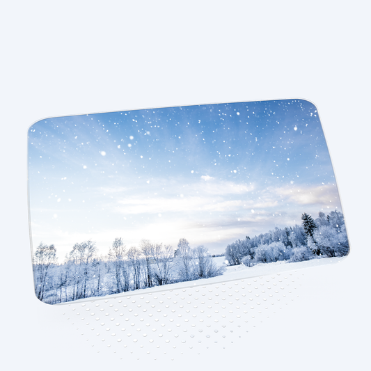WINTER DREAM SCREENSAVER COVER | VIVRE-MOTION