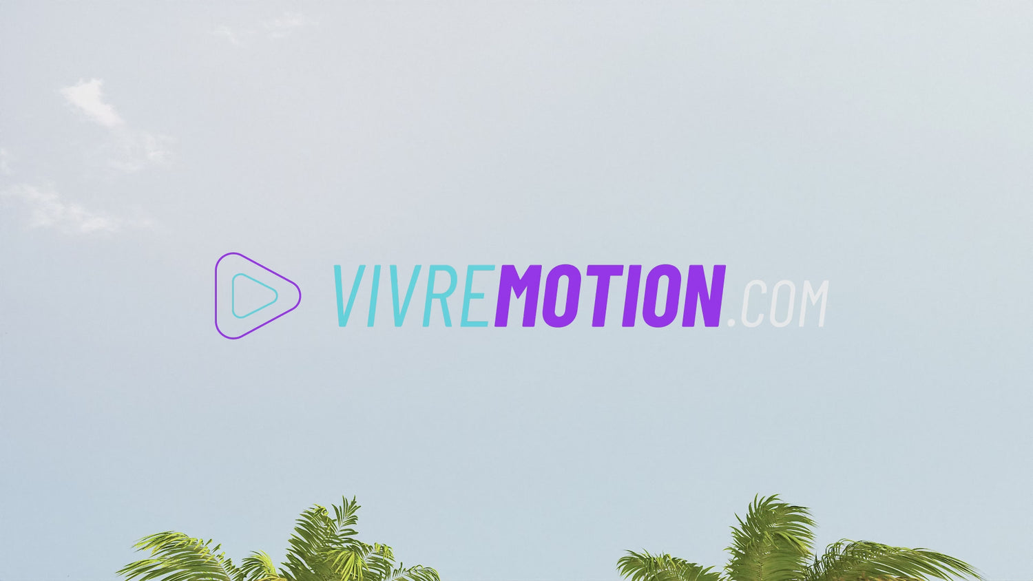 MIAMI PALM DRIVE SCREENSAVER PREVIEW | VIVRE-MOTION