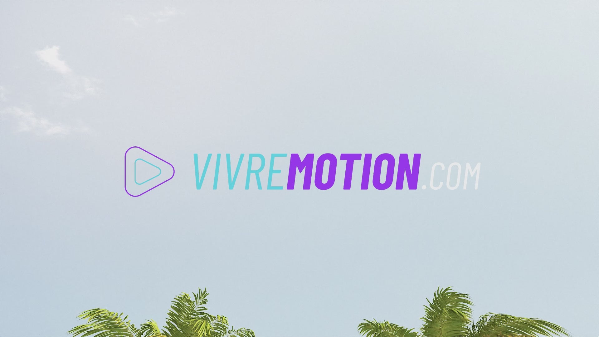 MIAMI PALM DRIVE SCREENSAVER PREVIEW | VIVRE-MOTION
