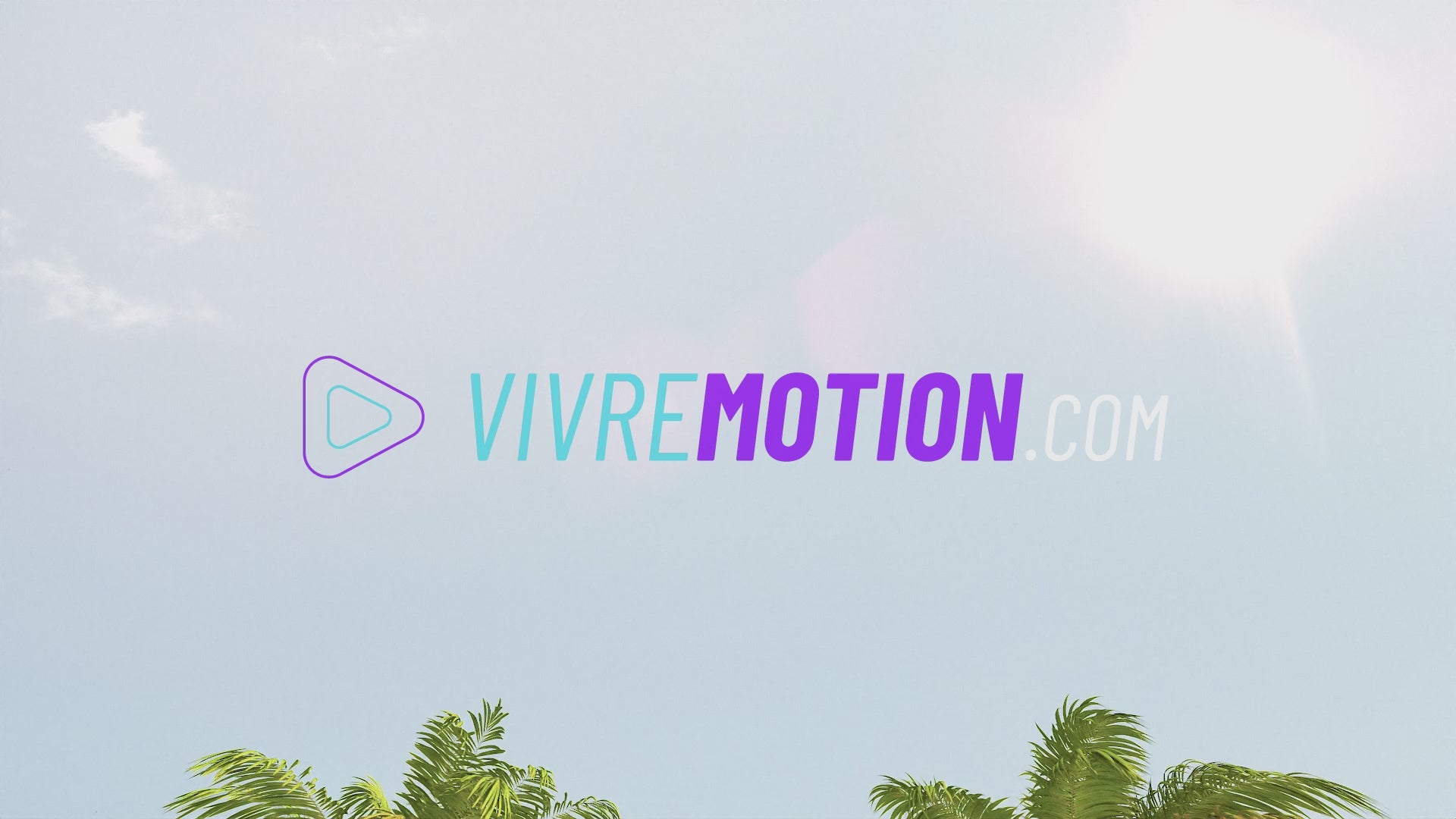 MIAMI PALM DRIVE SCREENSAVER PREVIEW | VIVRE-MOTION
